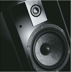 Focal Chorus 806 W